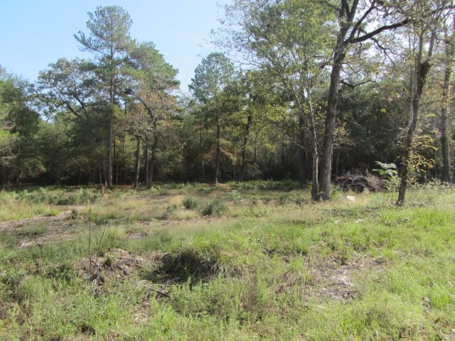 12 Tomahawk Cir, Huntsville TX, 77320 land for sale