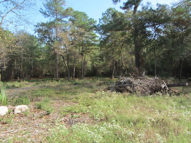 Listing photo 3 for 12 Tomahawk Cir, Huntsville TX 77320