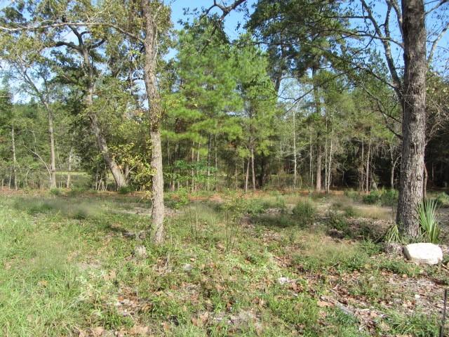 12 Tomahawk Cir, Huntsville, TX 77320