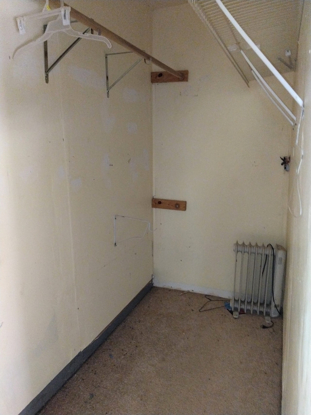 spacious closet with radiator heating unit and light carpet