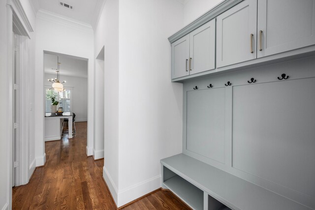 mudroom featuring crown molding and dark hardwood / wood-style flooring