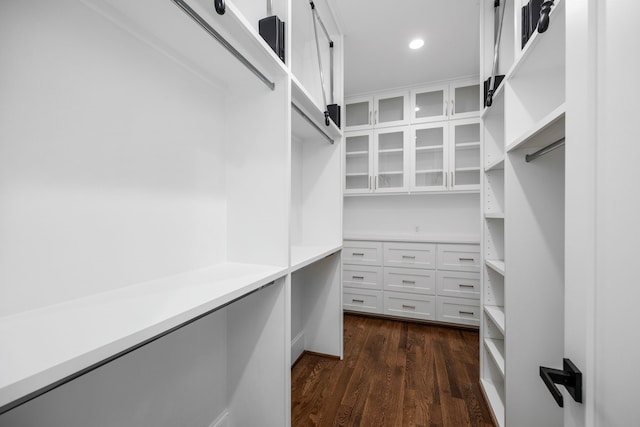 walk in closet with dark hardwood / wood-style flooring