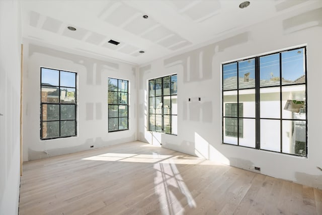 spare room with a wealth of natural light and light hardwood / wood-style flooring