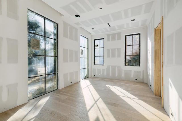 empty room featuring a wealth of natural light and light hardwood / wood-style flooring