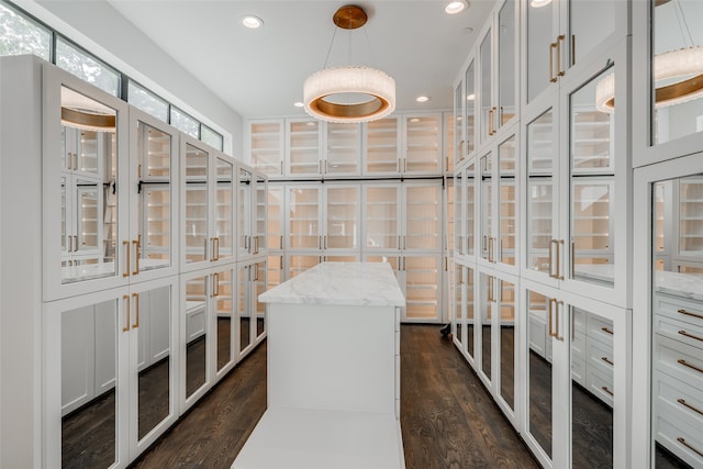 spacious closet with dark hardwood / wood-style floors