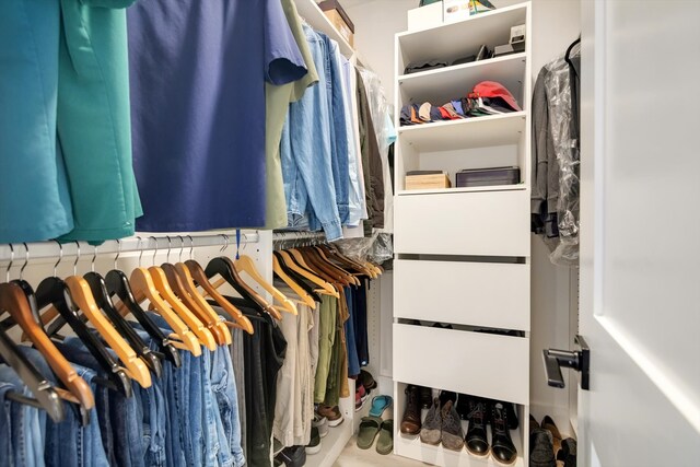 view of spacious closet