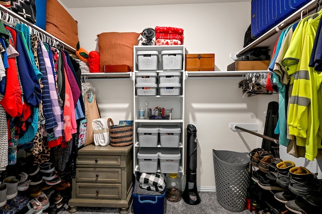 walk in closet featuring carpet floors