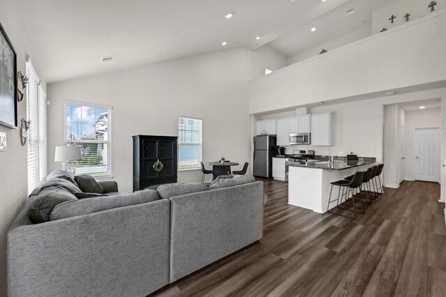 living room featuring dark wood-type flooring, sink, and high vaulted ceiling