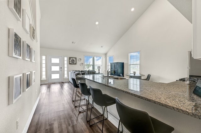 kitchen with dark hardwood / wood-style floors, high vaulted ceiling, sink, dark stone countertops, and a breakfast bar area