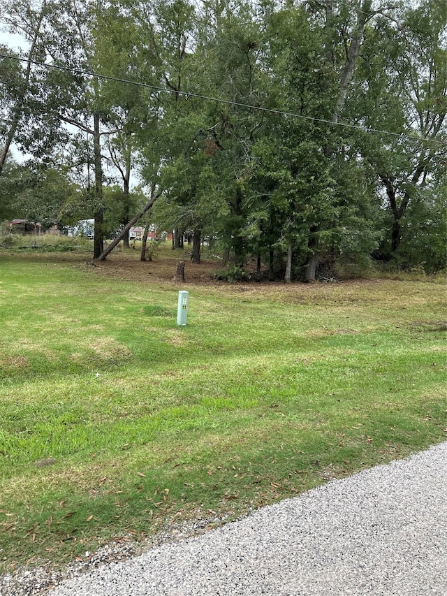 TBD Martineque Lane, Point Blank TX, 77364 land for sale