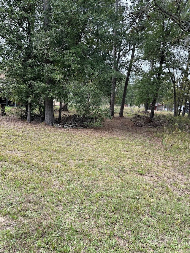 Listing photo 3 for TBD Martineque Lane, Point Blank TX 77364