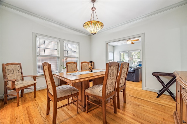 dining space with light wood-type flooring, crown molding, and ceiling fan with notable chandelier