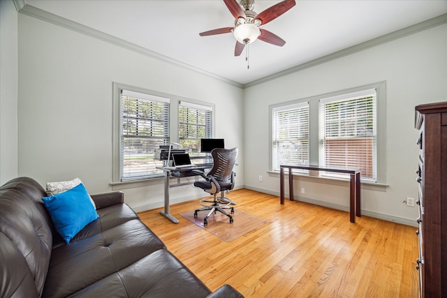 office featuring light hardwood / wood-style floors, ceiling fan, and crown molding