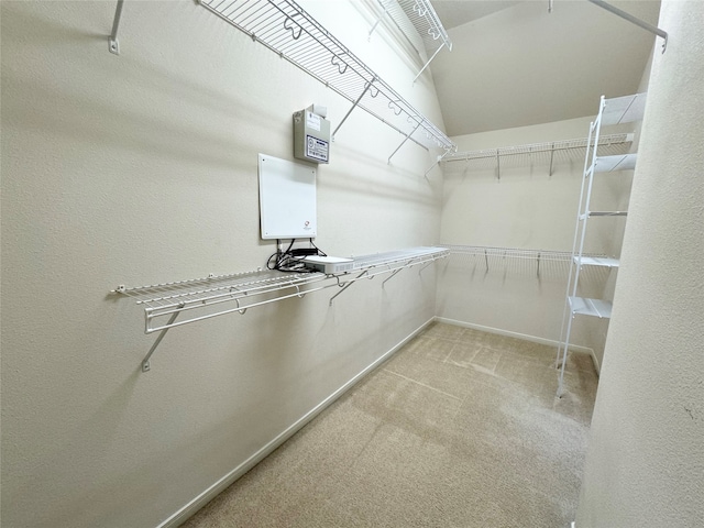 spacious closet featuring light carpet