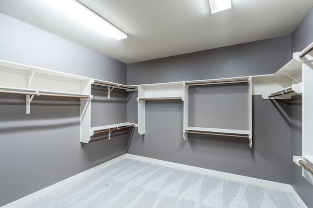 walk in closet featuring carpet flooring