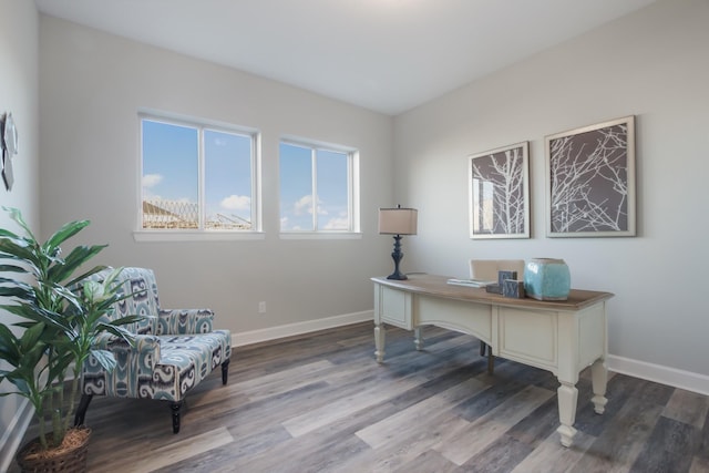 office area featuring hardwood / wood-style floors