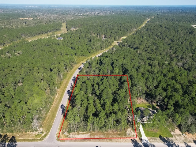 15806 Wood Grove Way, Willis, TX 77378