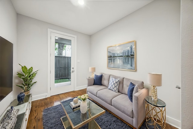 living room with dark hardwood / wood-style floors