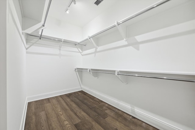 spacious closet with wood-type flooring