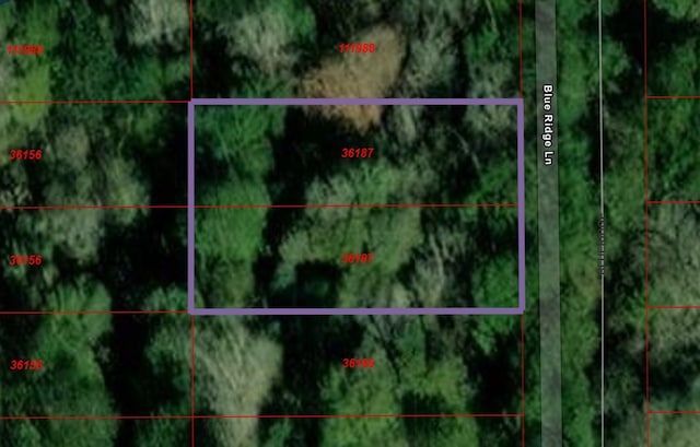 TBD Blue Ridge Dr, Livingston TX, 77351 land for sale