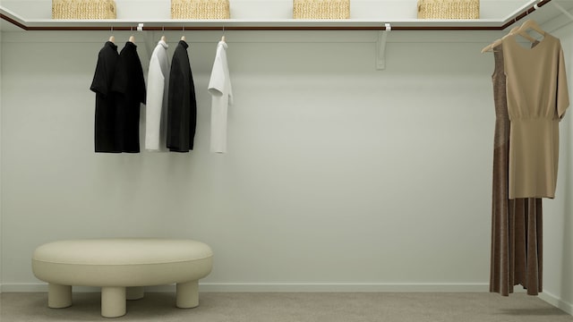 spacious closet featuring carpet flooring