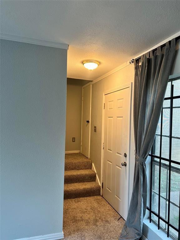 interior space featuring a textured ceiling, carpet flooring, and ornamental molding