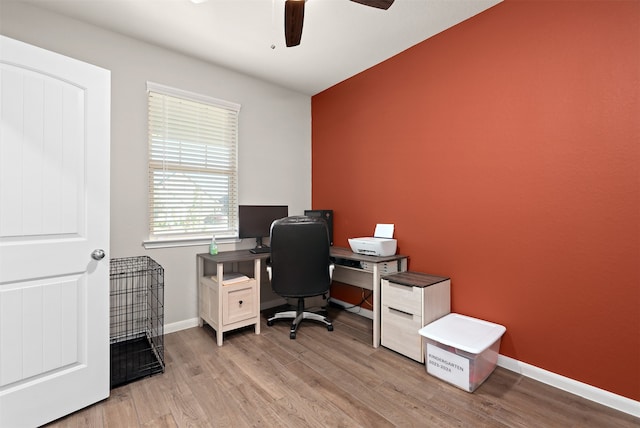 office featuring ceiling fan and light hardwood / wood-style flooring