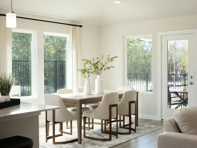 dining area with wood-type flooring and plenty of natural light