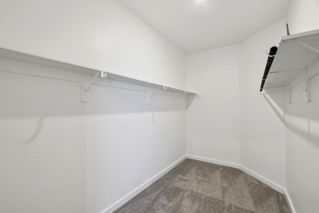 spacious closet with carpet flooring