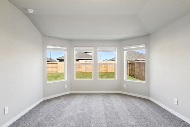 spare room with vaulted ceiling, a healthy amount of sunlight, and carpet flooring