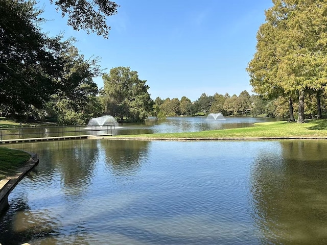 property view of water