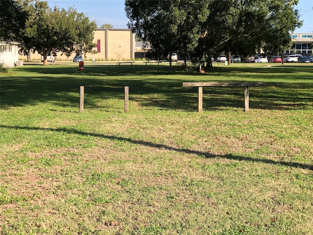 2310 Fitz Lee St, Waller, TX 77484