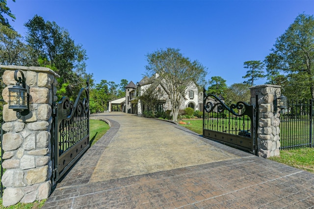 5015 Ossineke Ct, Spring, TX 77386 - view of gate