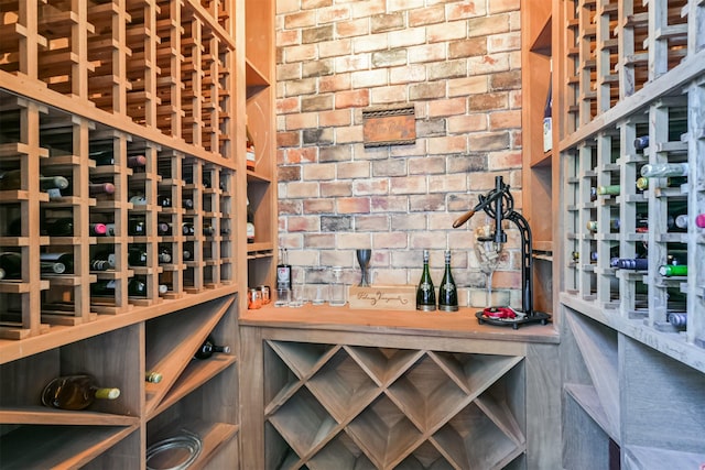 5015 Ossineke Ct, Spring, TX 77386 - view of wine cellar