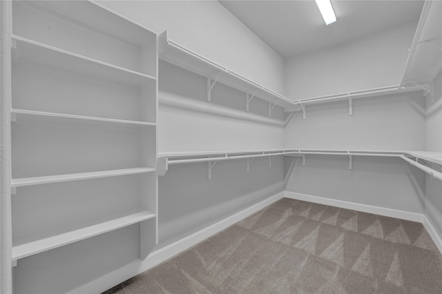 spacious closet with carpet