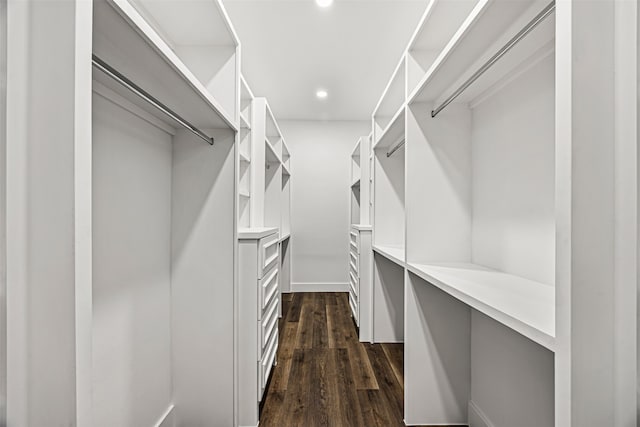 walk in closet featuring dark hardwood / wood-style flooring