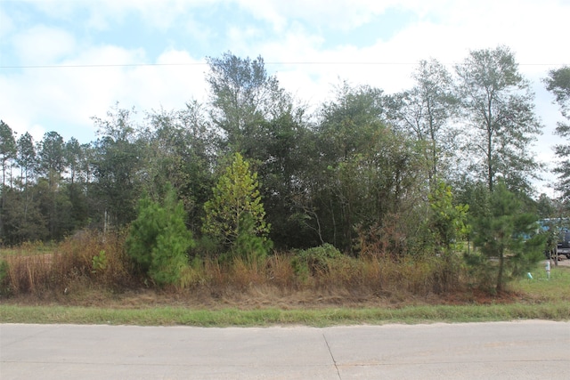 70 County Road 5008, Cleveland TX, 77327 land for sale