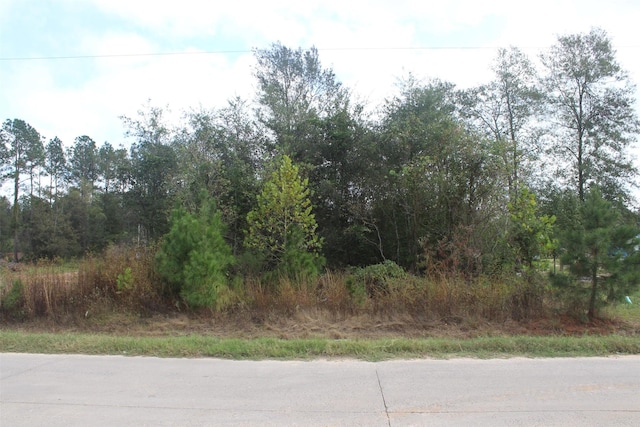 70 County Road 5008, Cleveland, TX 77327