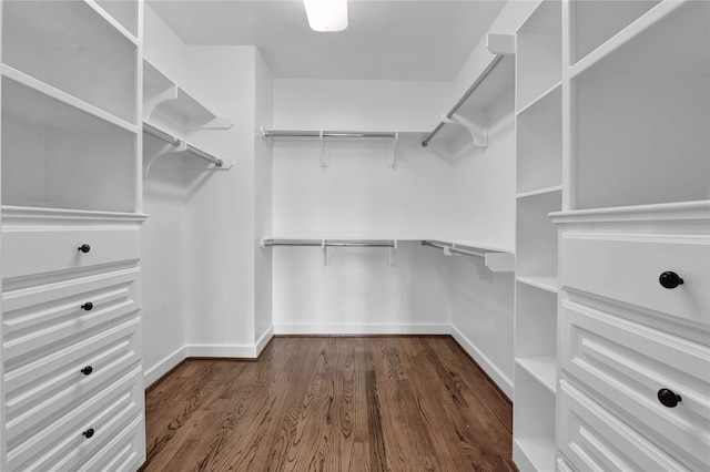 spacious closet with dark wood-type flooring