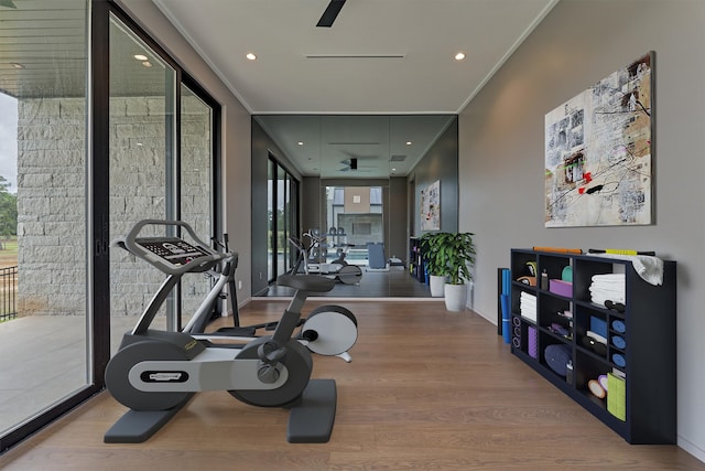 exercise room with ornamental molding and hardwood / wood-style flooring