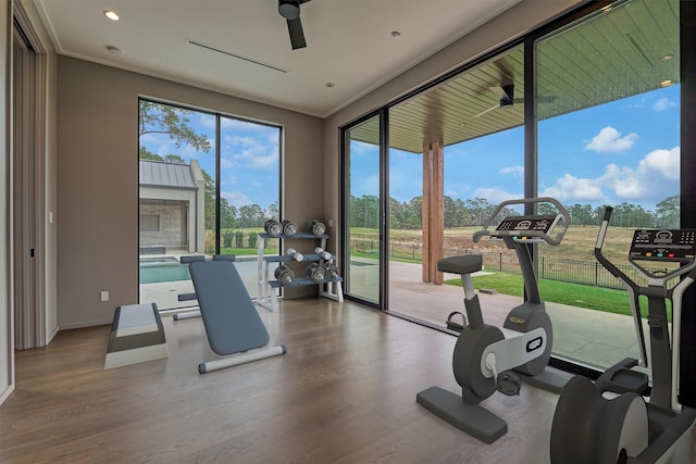 gym featuring hardwood / wood-style floors