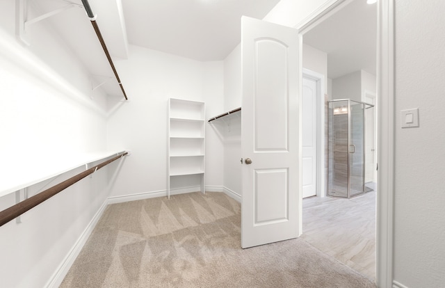 walk in closet with light carpet