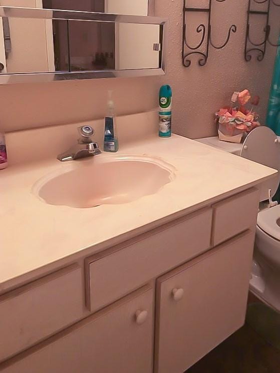 6217 Ludington Dr Unit 20-915, Houston, TX 77035 - full bath with vanity and a shower with shower curtain