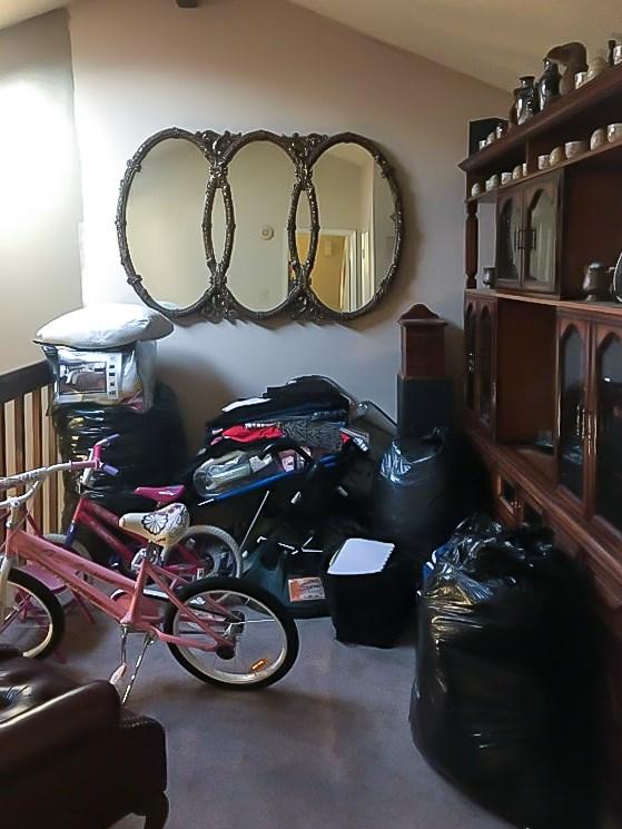 6217 Ludington Dr Unit 20-915, Houston, TX 77035 - misc room featuring vaulted ceiling and carpet flooring