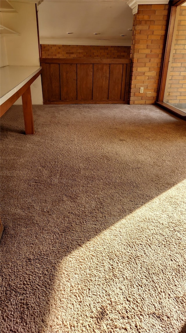 bonus room featuring carpet