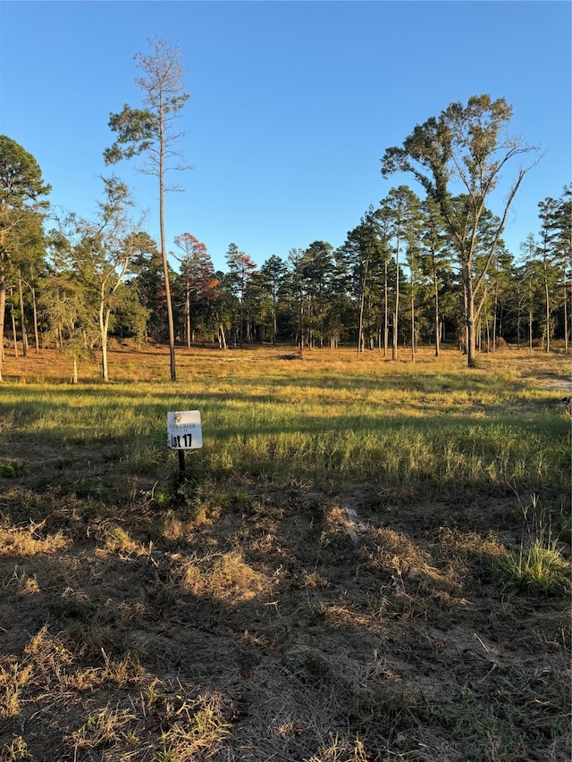 17 County Road 147, Centerville TX, 75833 land for sale