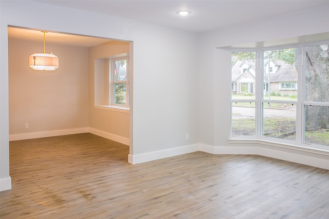 empty room with wood-type flooring and plenty of natural light