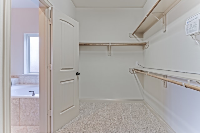 view of spacious closet