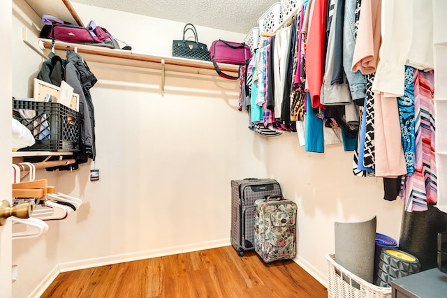 walk in closet featuring wood finished floors