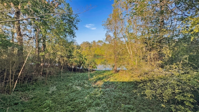 view of nature with a water view